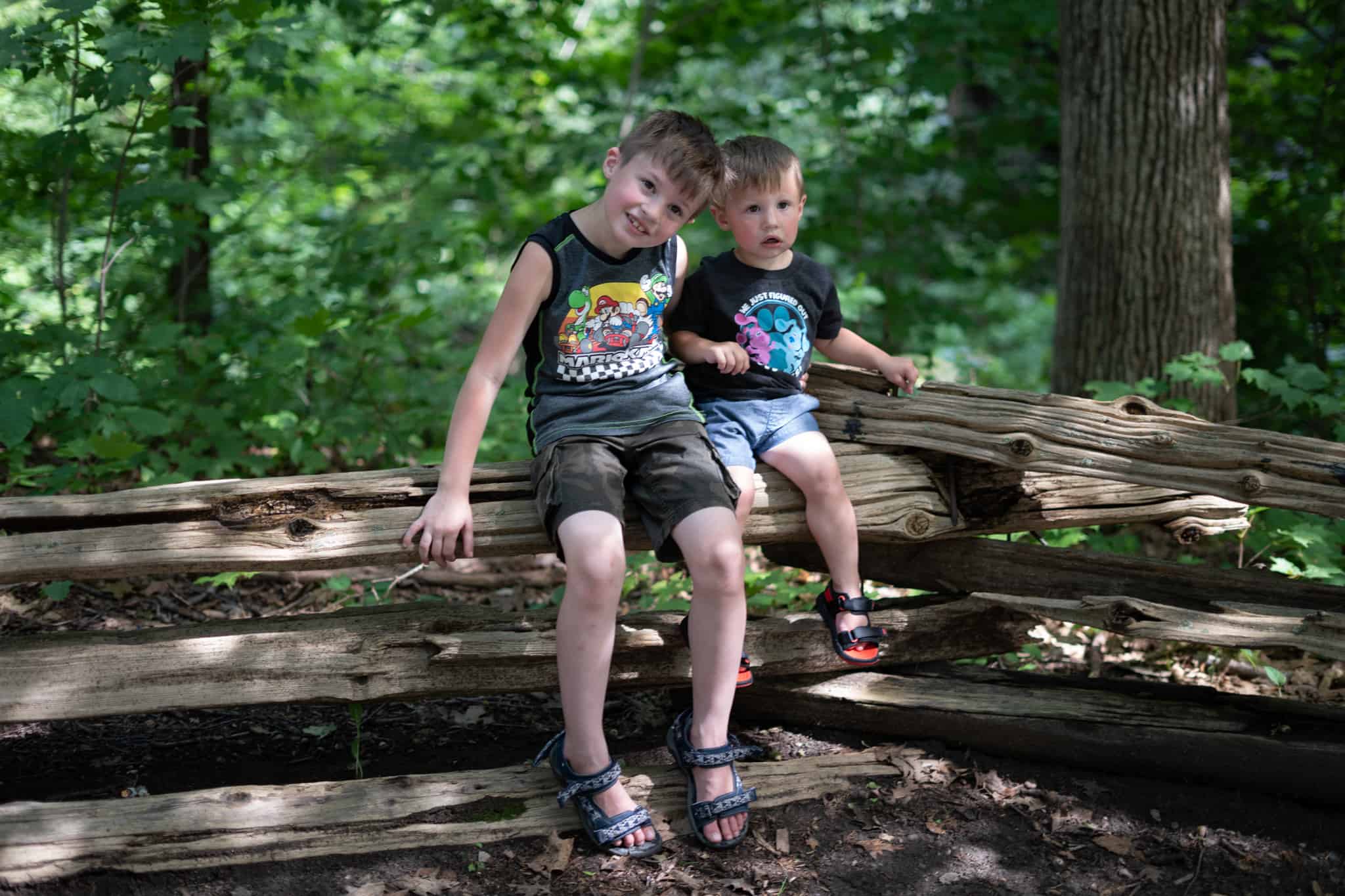 Children Portrait Two Brothers Sitting Log Forest - Spring Lake, NC