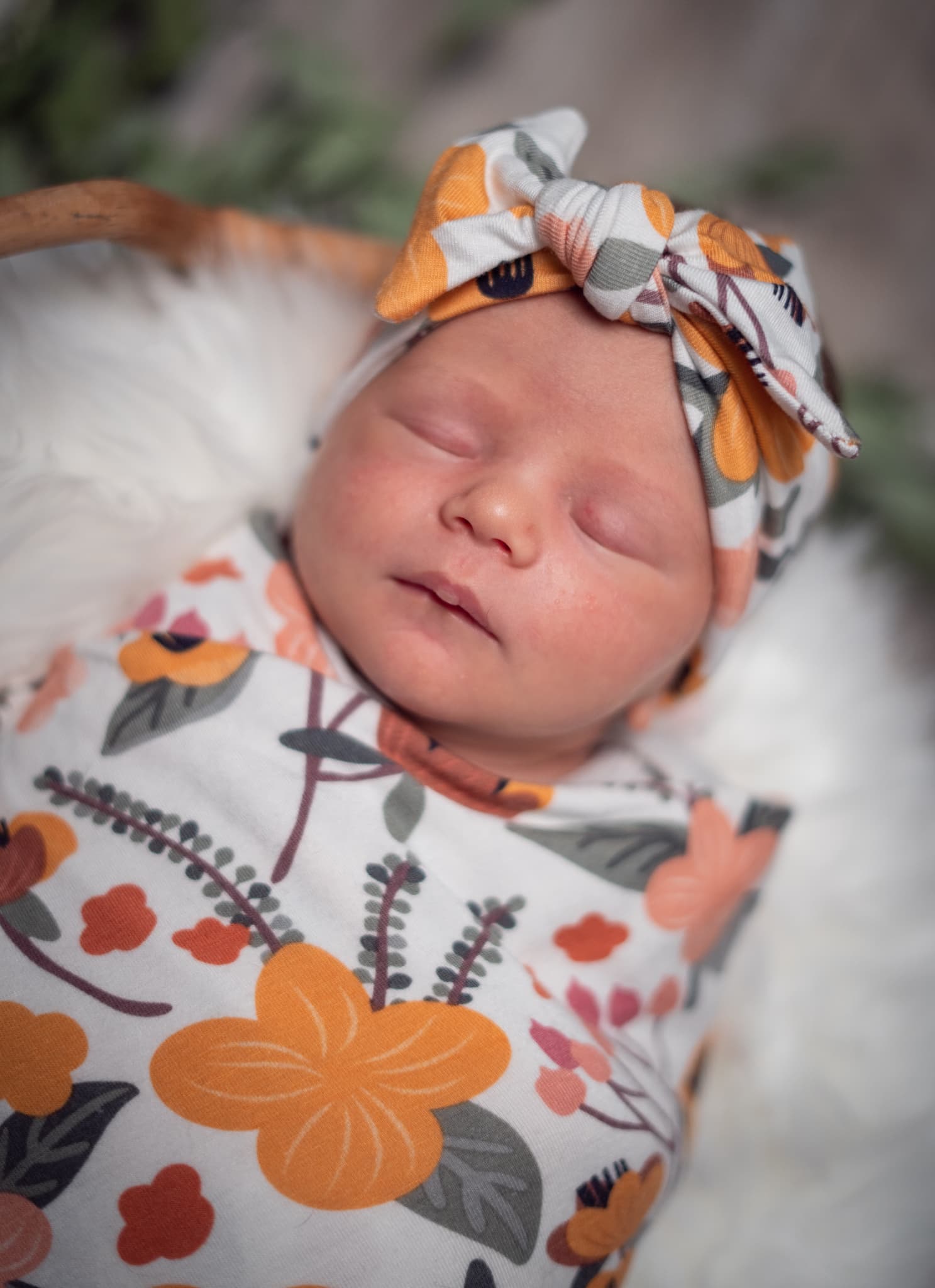 Golden hour newborn family session near Fort Bragg